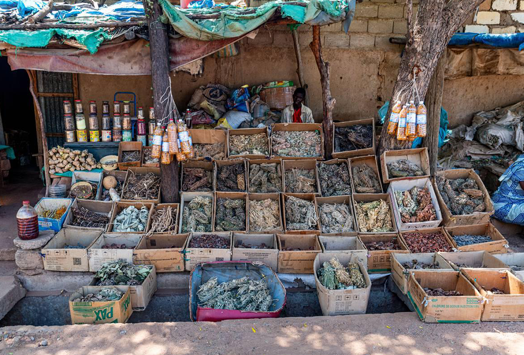 Ouverture d’un marché modernisé